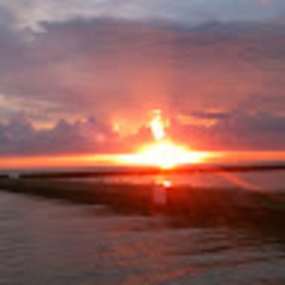 Meet your Posher, Louise - Picture 1 of 1